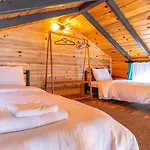Tringo Ayvalı