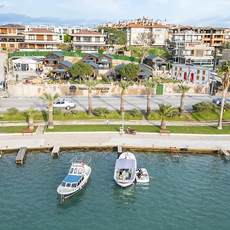 Tringo 3* Ayvalı