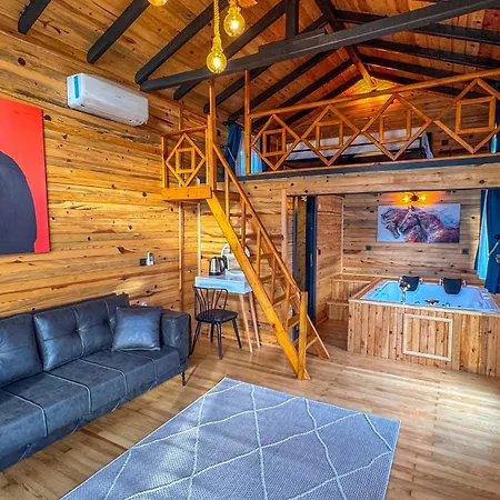 Hotel Tringo