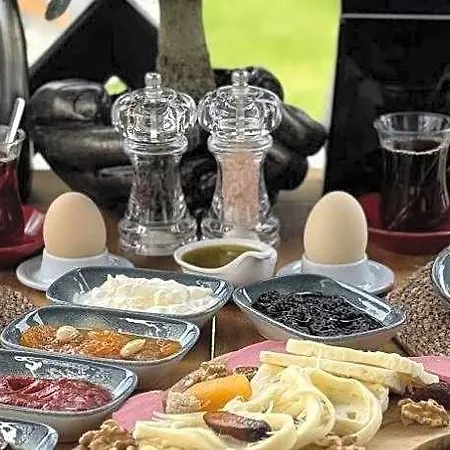 Tringo 3* Ayvalı