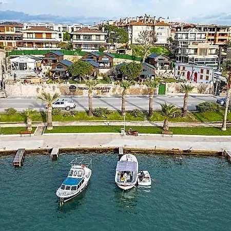 Tringo Ayvalı