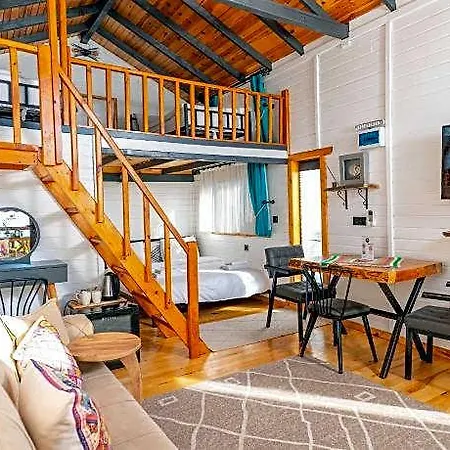 Tringo 3* Ayvalı
